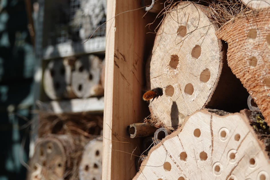 Saulėta sodo gėlių juosta šalia bičių viešbučio ir skraidančių apdulkintojų