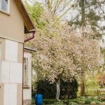 Lyginimas: lauko laistymo sistemos „lašelinė“ ir „purškimas“ – palyginimas sodo laistymui ir jų skirtumai