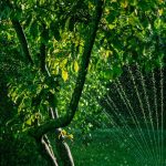 Sodo drėkinimo automatizavimas: laistymo žarna ir jutiklių laikmatis sode, suderinant augalų poreikius