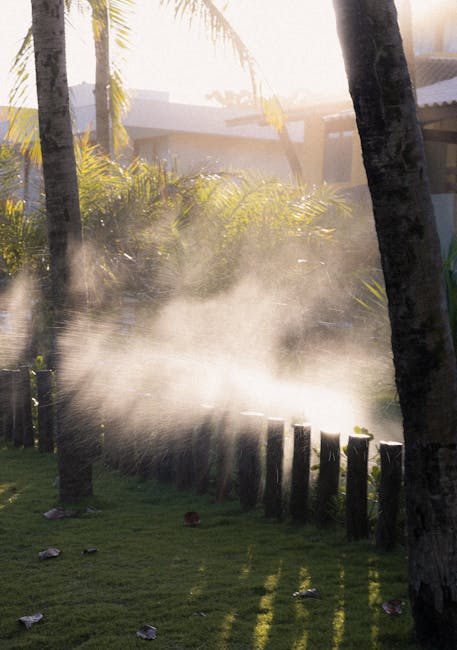 Žmogus ryte laisto daržą laistytuvu, švieži daigai ir sudrėkinta lysvė