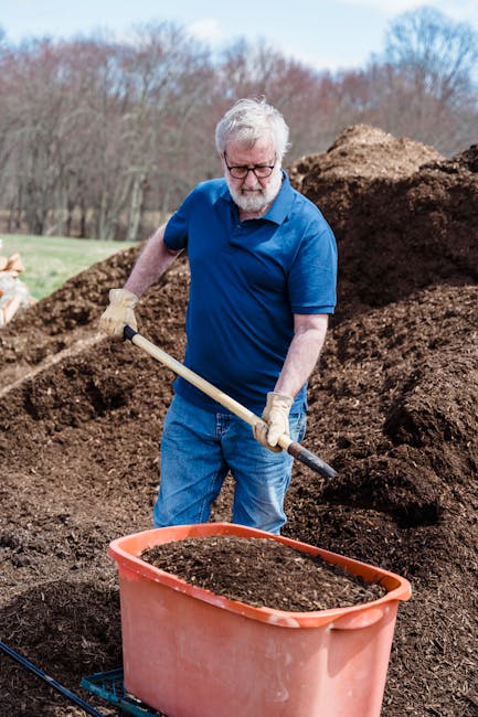 Žmogus pavasarį barsto kompostą ant sodo lysvės