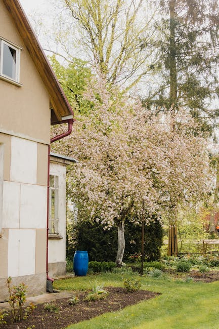 Sodo sezoninis planas per 30 dienų: darbai pavasariui, vasarai ir rudeniui – pavasario sodo paruošimas.